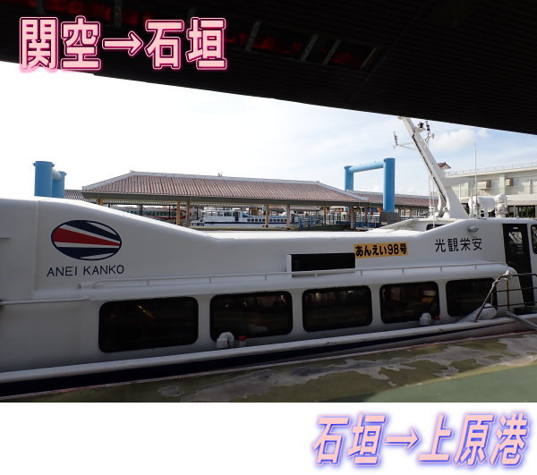 西表島ダイビング