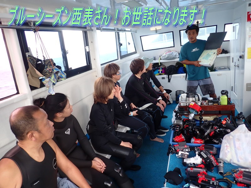 西表島ダイビング