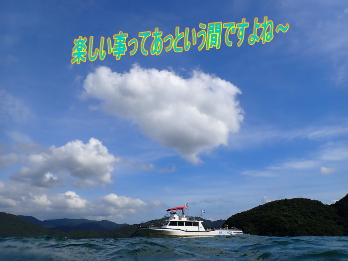 西表島ダイビング