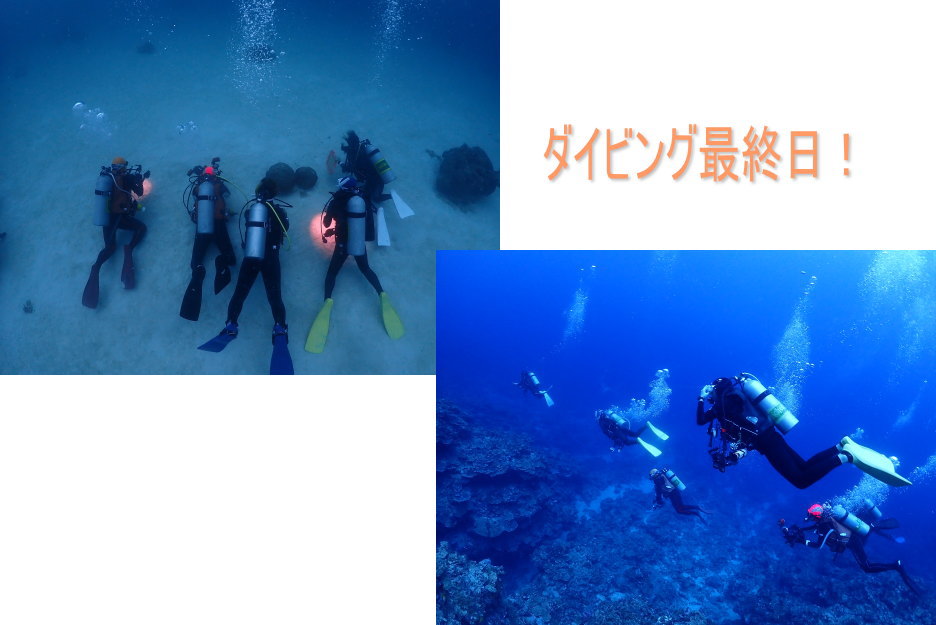 西表島ダイビング