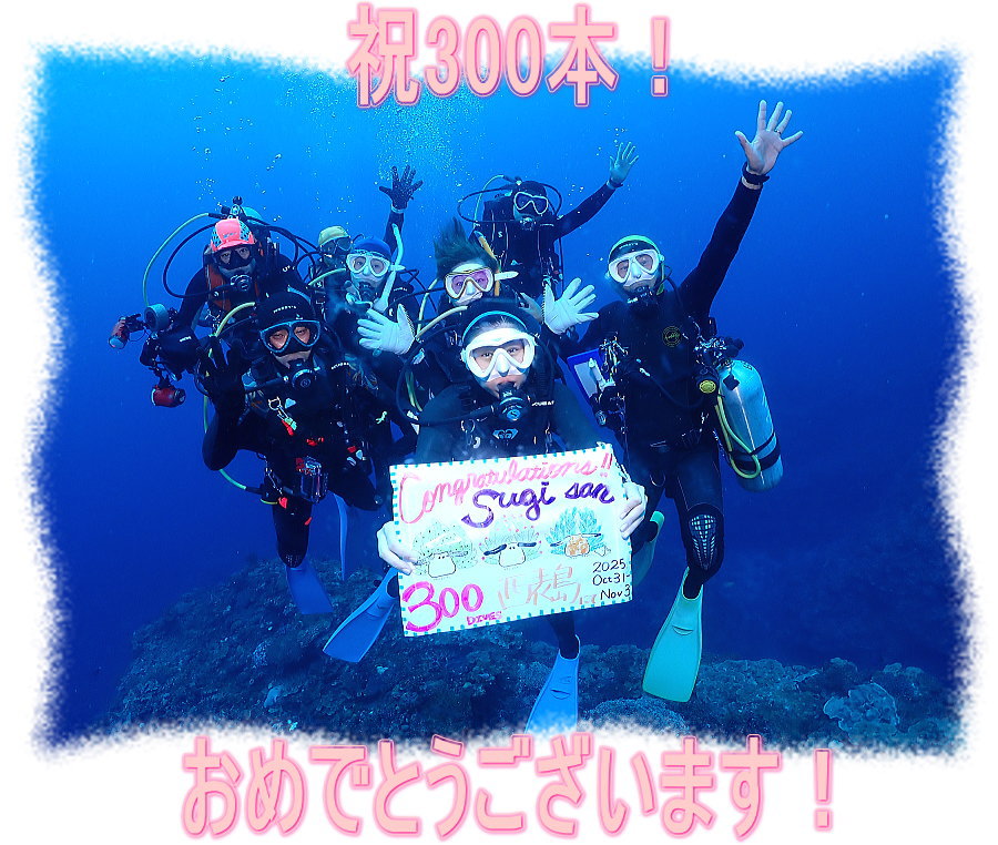 西表島ダイビング