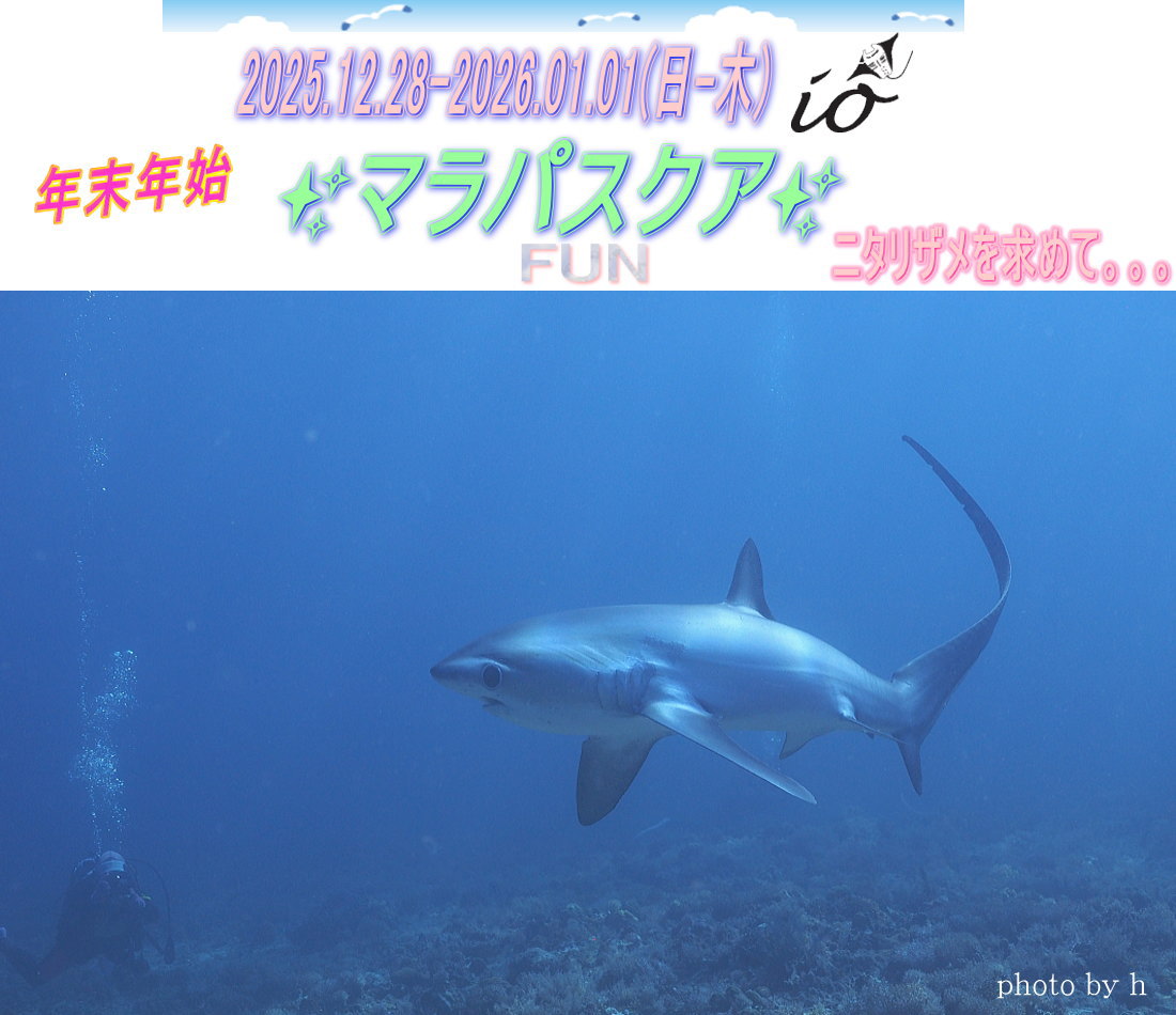 マラパスクアダイビング