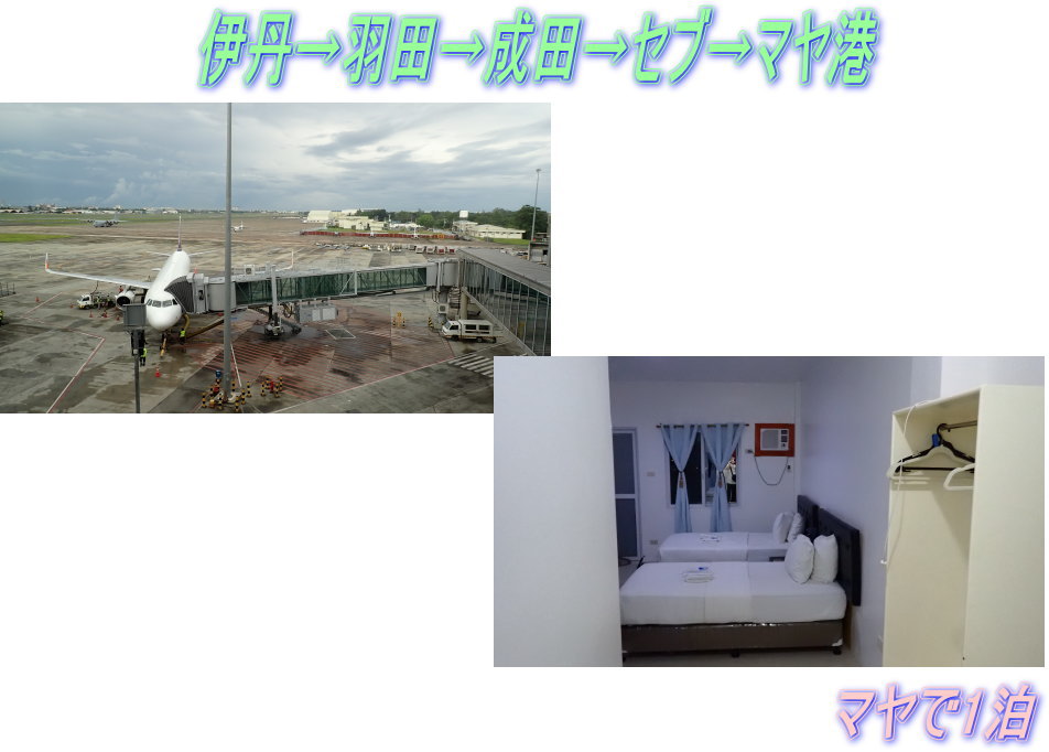 マラパスクアダイビング