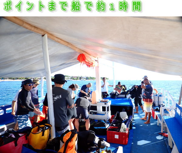 マラパスクアダイビング