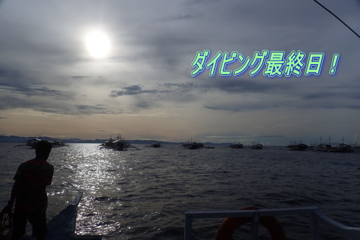 マラパスクアダイビング