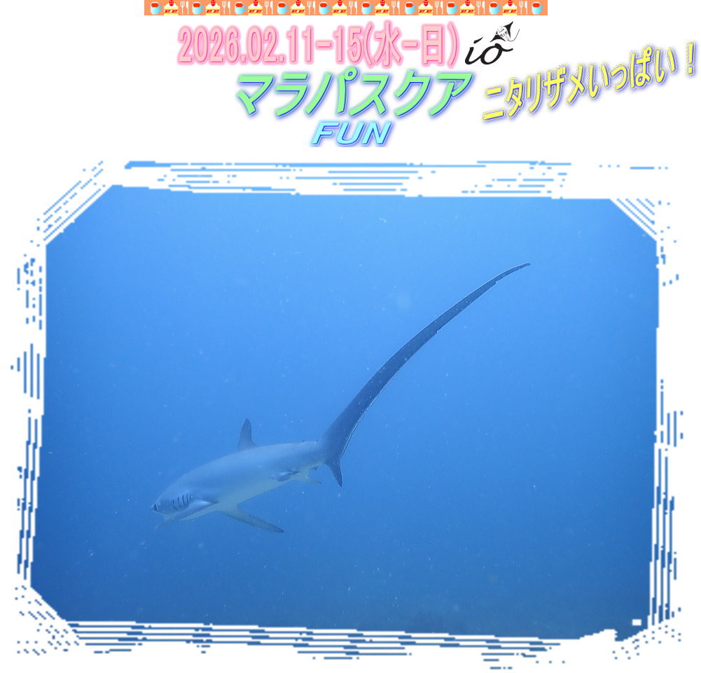 マラパスクアダイビング