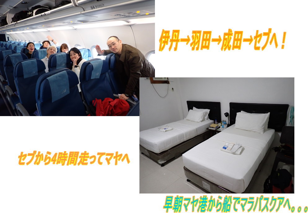 マラパスクアダイビング