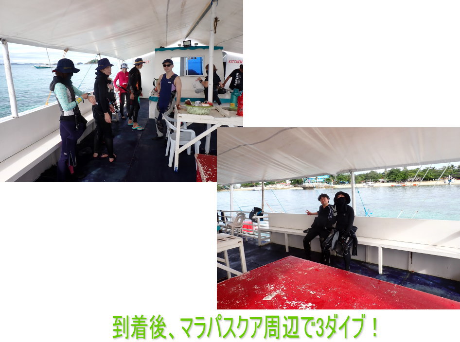 マラパスクアダイビング