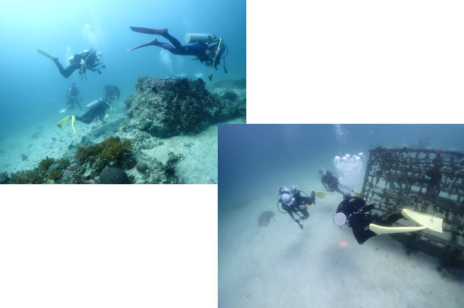 マラパスクアダイビング