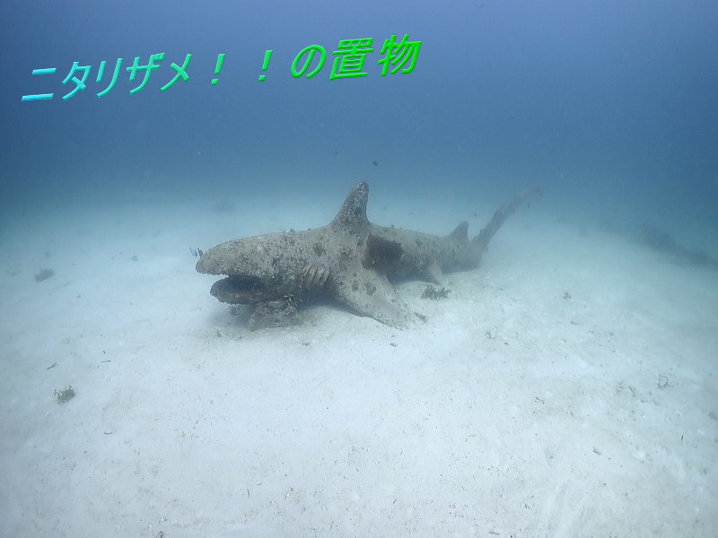 マラパスクアダイビング