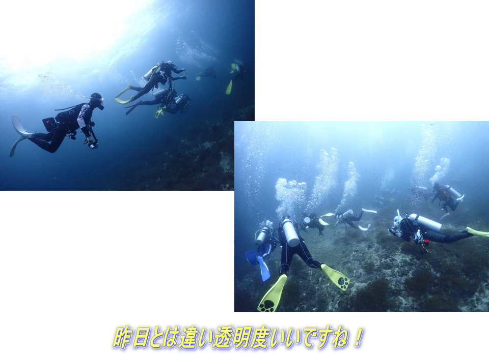 マラパスクアダイビング