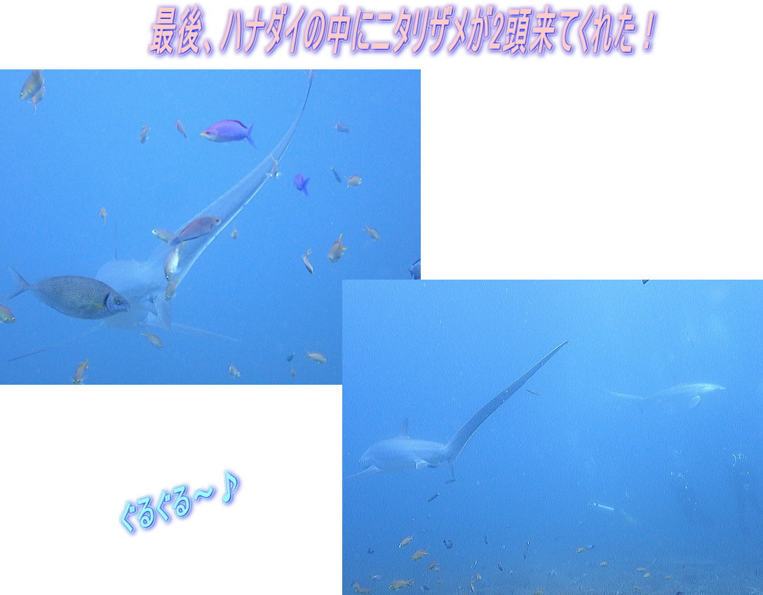 マラパスクアダイビング