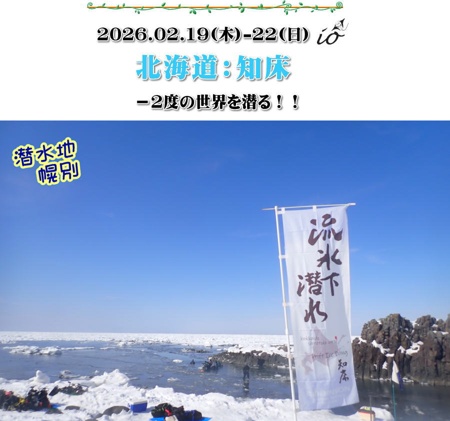 知床流氷ダイビング