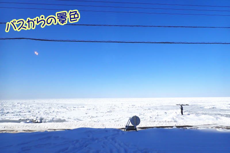 知床流氷ダイビング