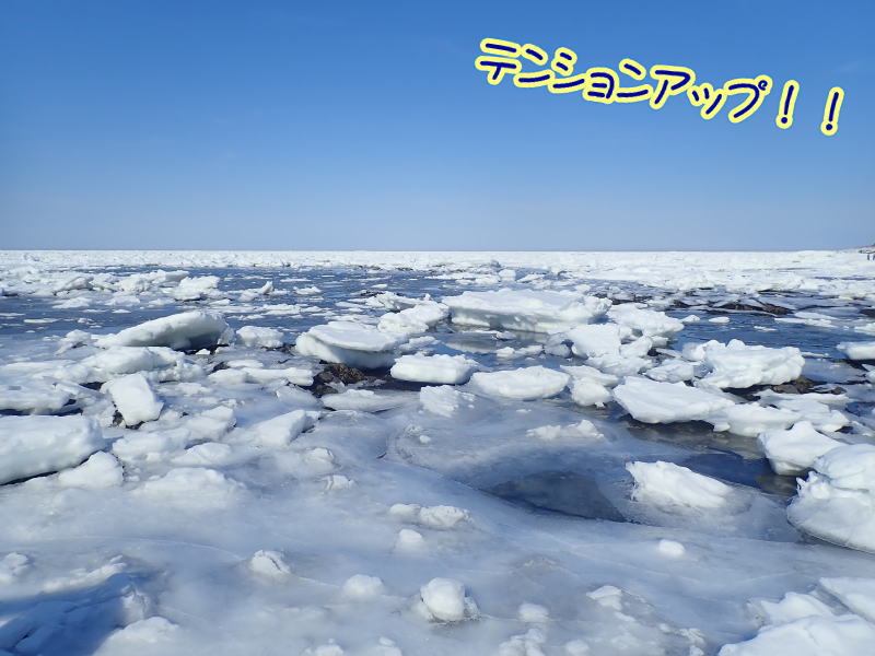 知床流氷ダイビング