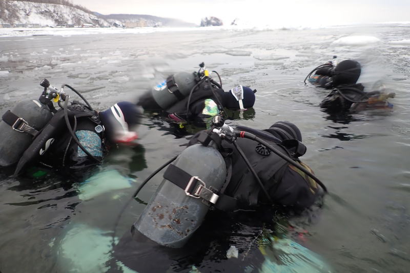 知床流氷ダイビング
