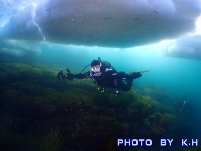 知床流氷ダイビング
