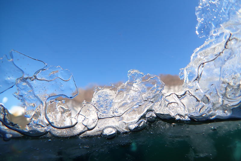 知床流氷ダイビング