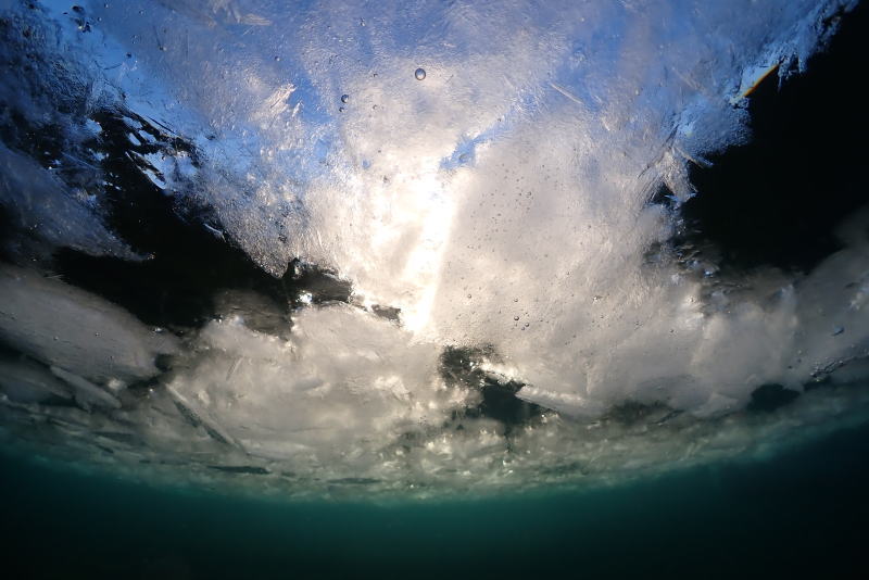 知床流氷ダイビング