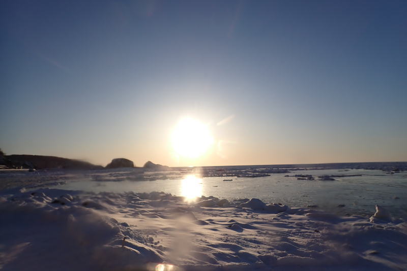 知床流氷ダイビング