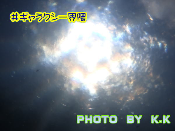 知床流氷ダイビング