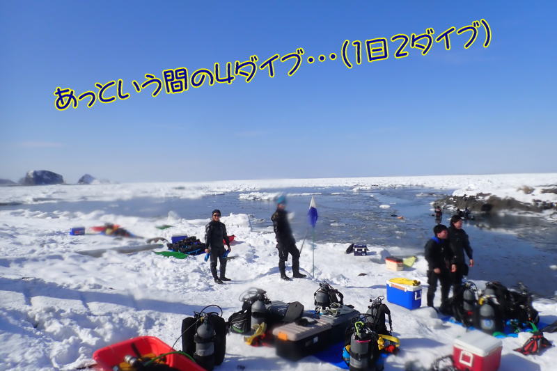 知床流氷ダイビング
