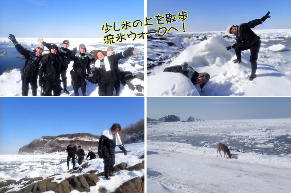 知床流氷ダイビング