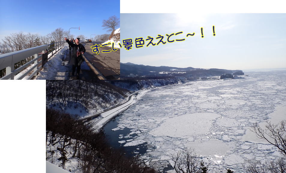 知床流氷ダイビング