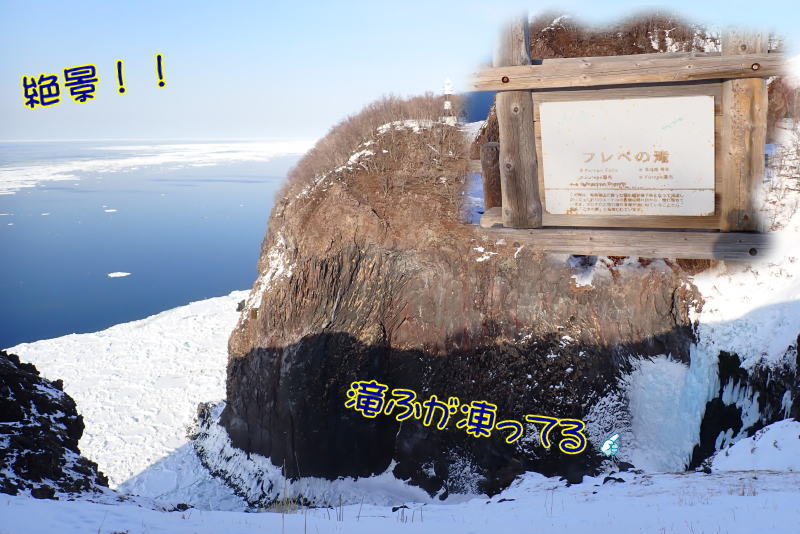 知床流氷ダイビング