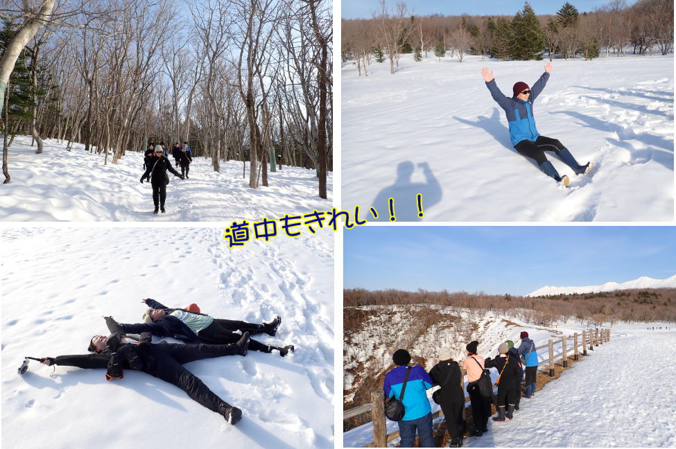 知床流氷ダイビング