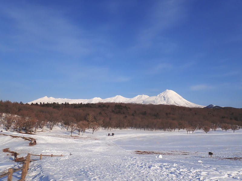 知床流氷ダイビング