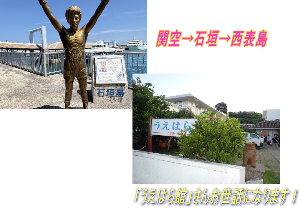 西表島ツアー