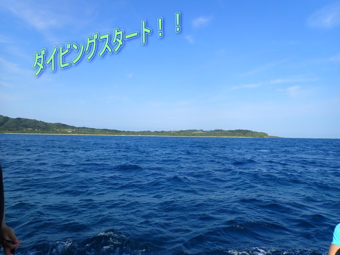 西表島ツアー