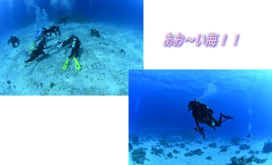 西表島ツアー
