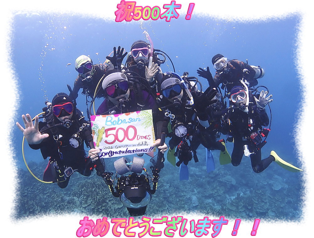 西表島ツアー