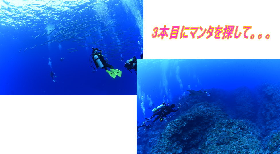 西表島ツアー