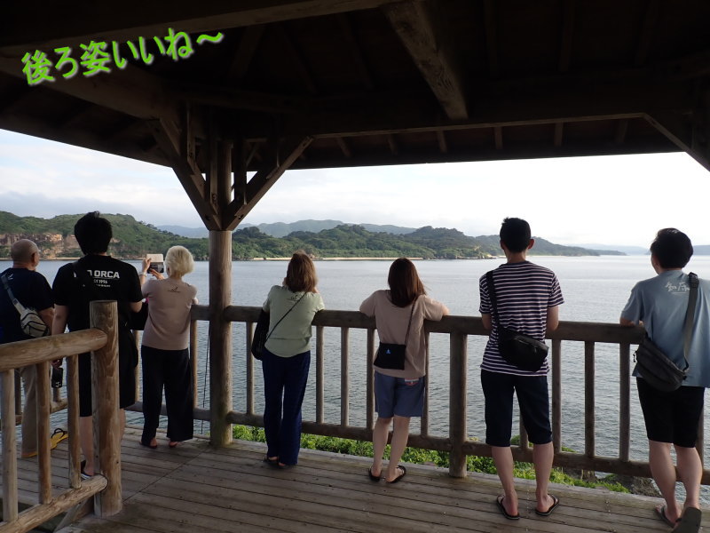 西表島ツアー