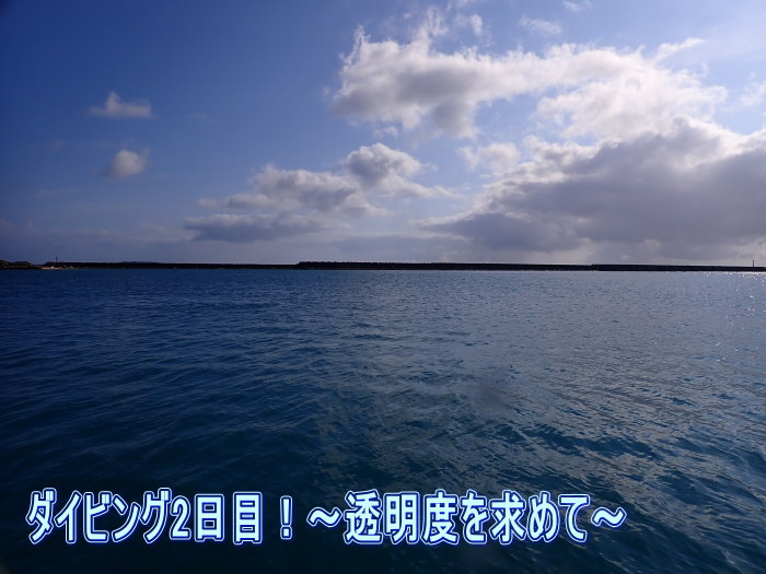 西表島ツアー