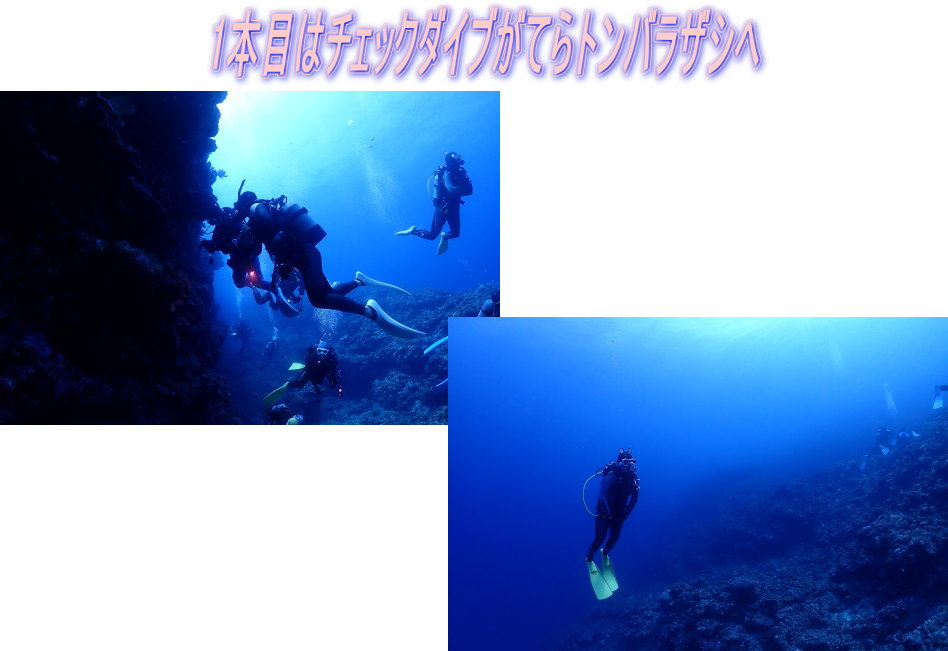 久米島ダイビング