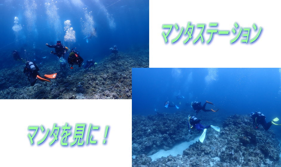 久米島ダイビング