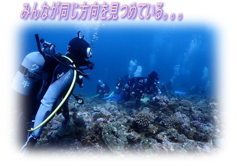 久米島ダイビング