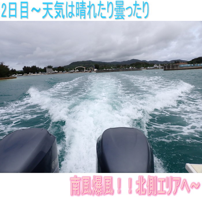 久米島ダイビング