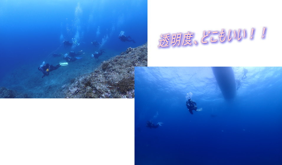 久米島ダイビング