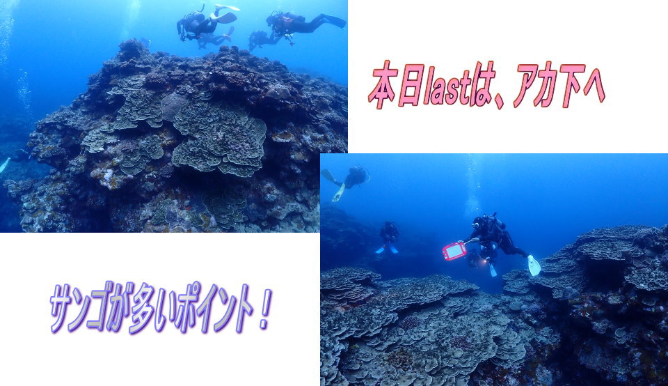 久米島ダイビング