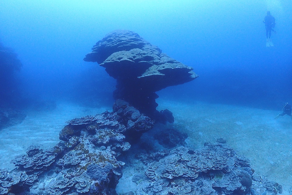 久米島ダイビング