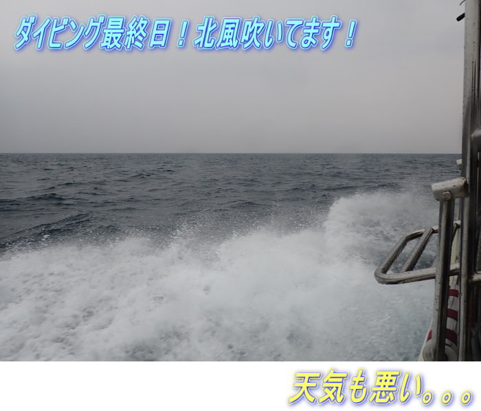 久米島ダイビング