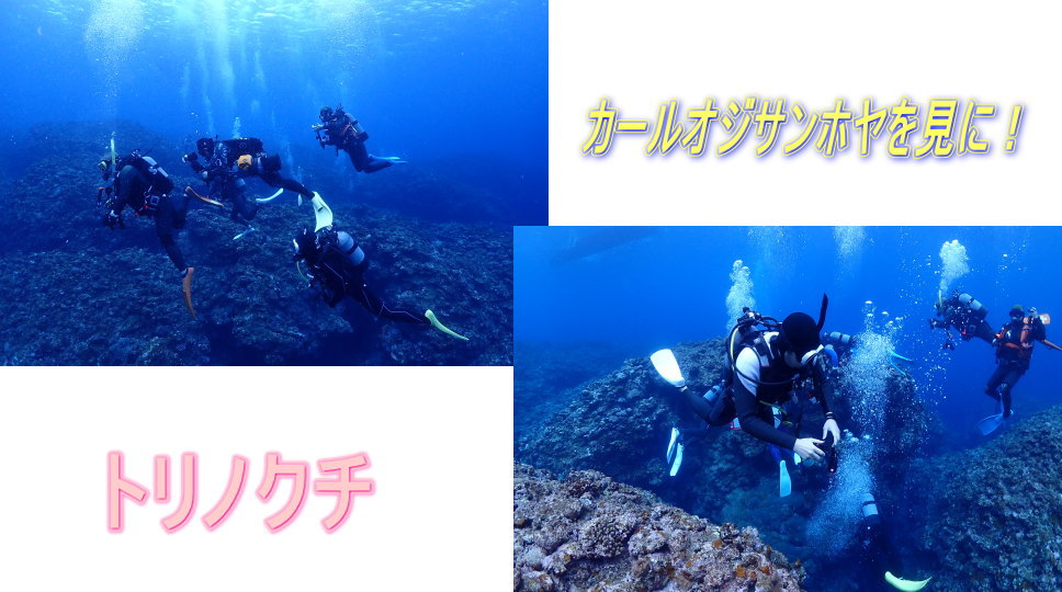 久米島ダイビング