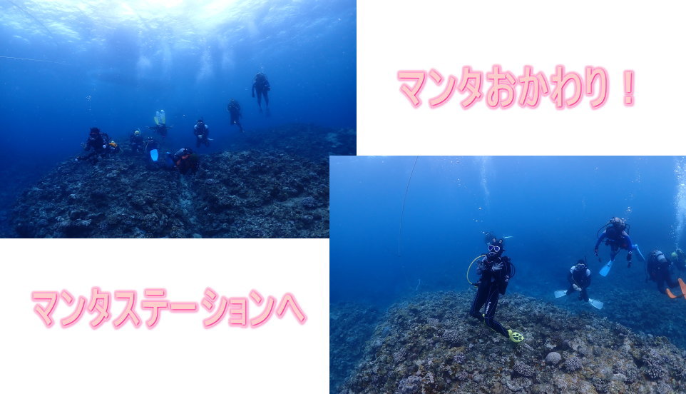 久米島ダイビング