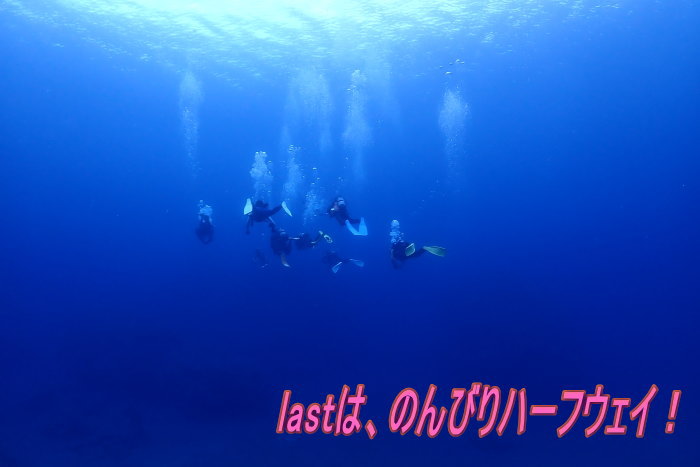 久米島ダイビング