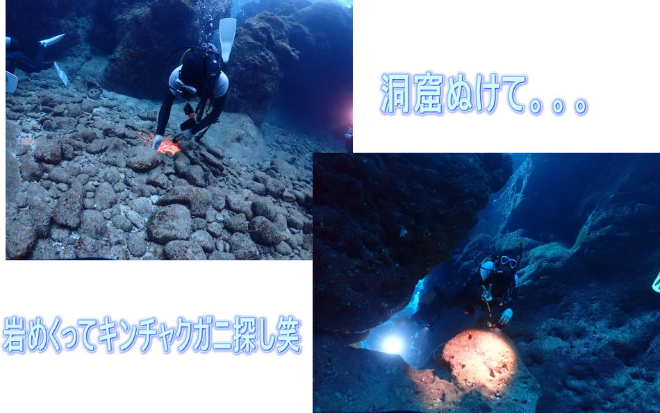 久米島ダイビング